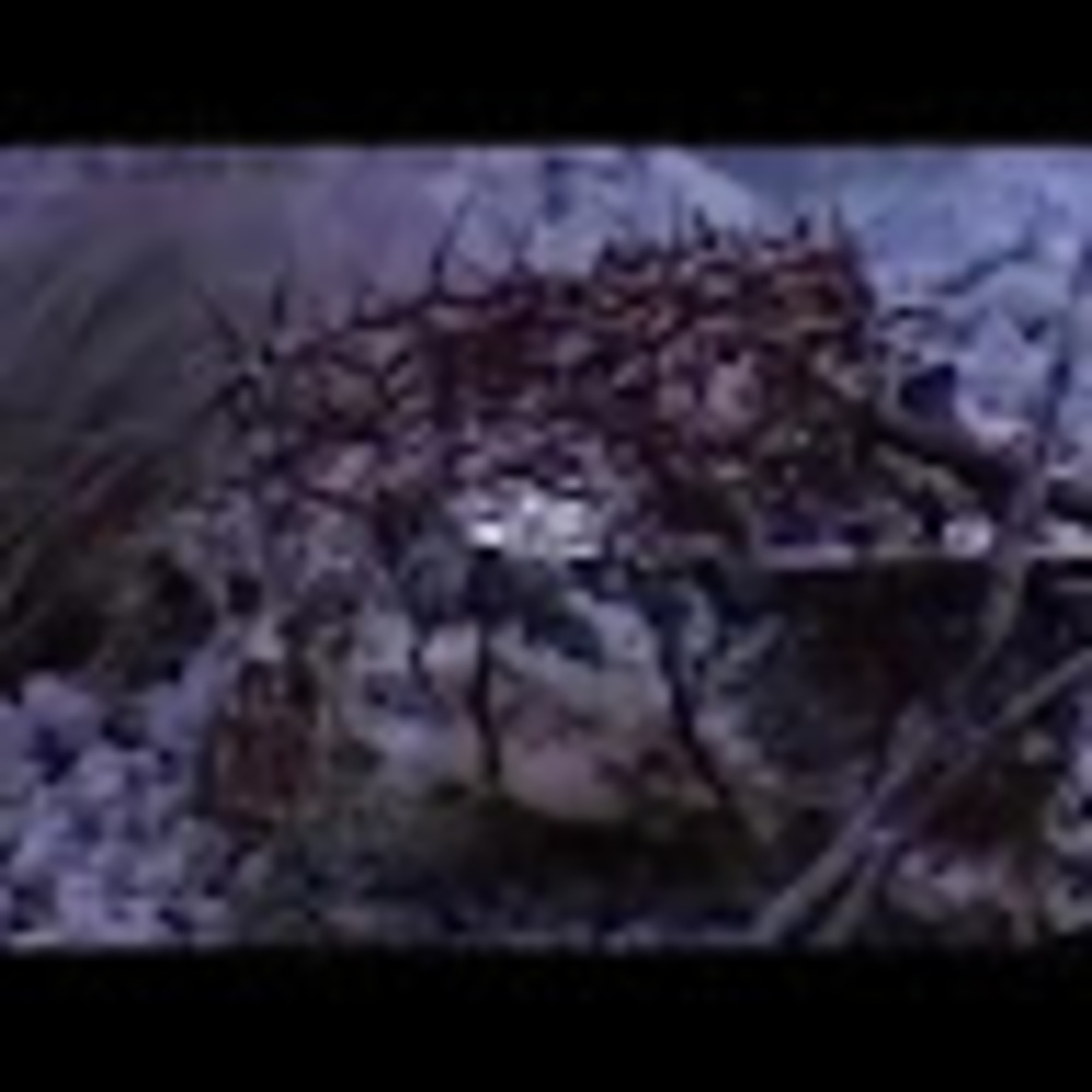 Meet your Posher, Tg